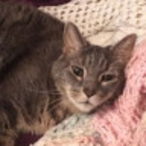 Meet your Posher, Virginia